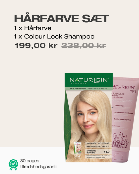 Extreme Blonde 11.0 + Shampoo