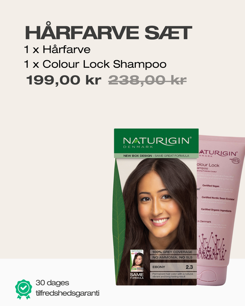 Ebony 2.3 + Shampoo