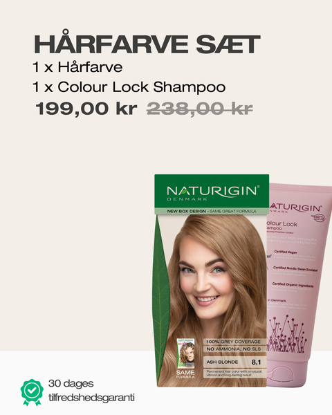 Ash Blonde 8.1 + Shampoo