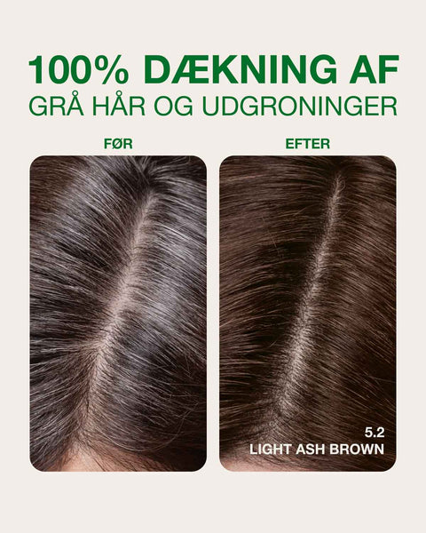 dækning af grå hår med askebrun