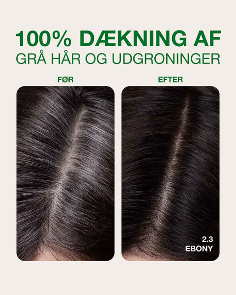 dækning af grå hår med ebony