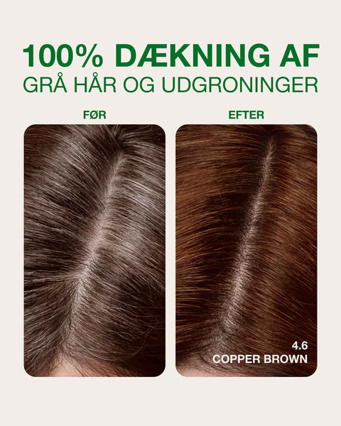 dækning af grå hår med kobber brun