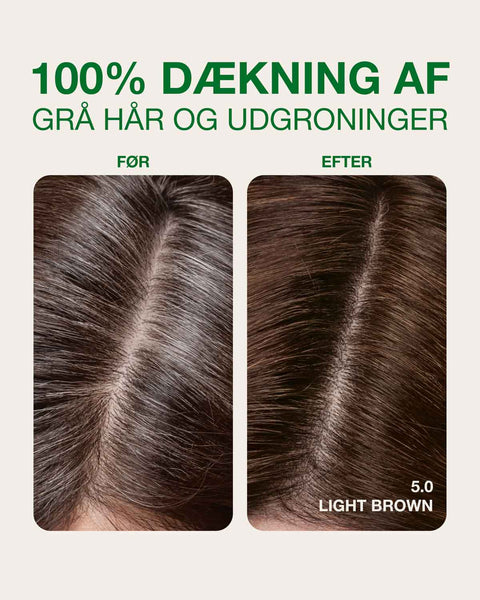 dækning af grå hår med lysebrun