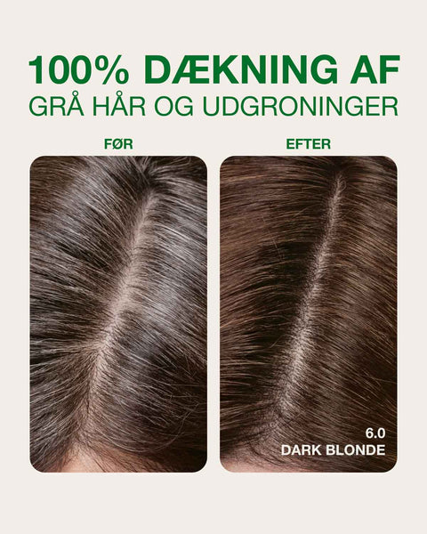 dækning af grå hår med mørkeblond